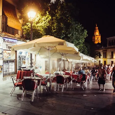 El Rincon De La Mezquita *